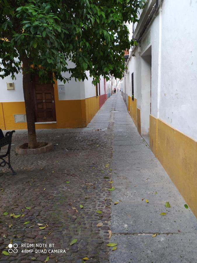 Alojamiento Casa Tipica De Cordoba Luaran gambar
