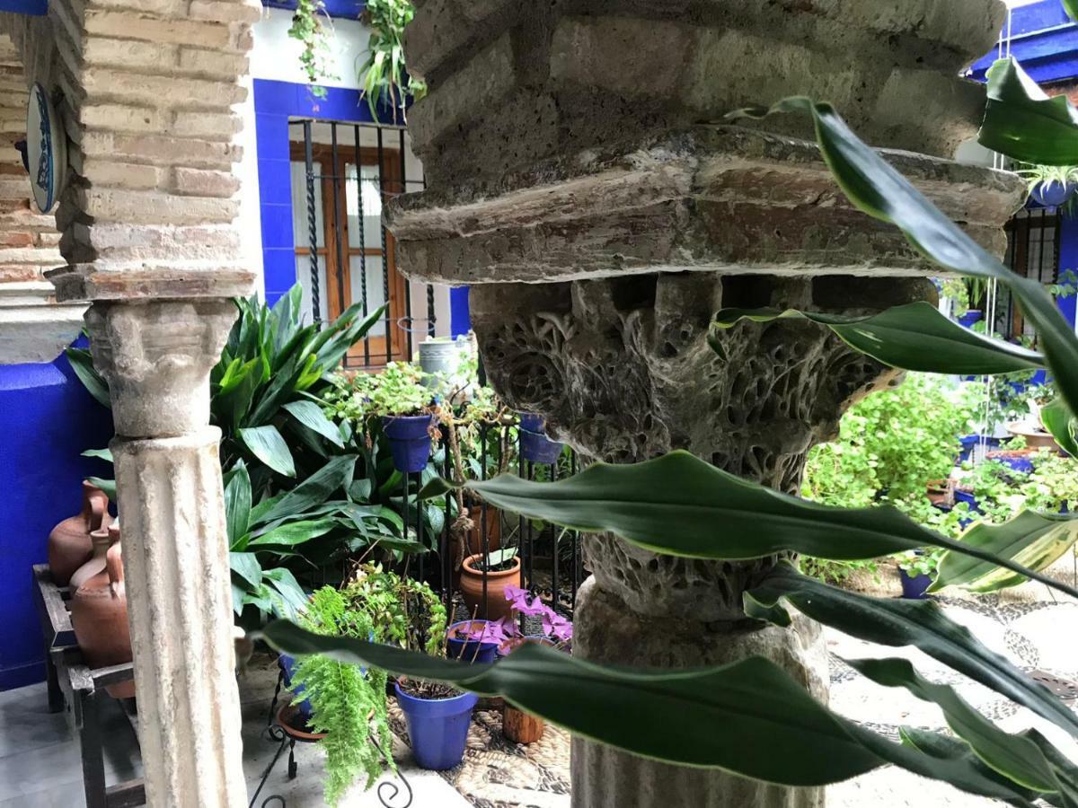 Alojamiento Casa Tipica De Cordoba Luaran gambar
